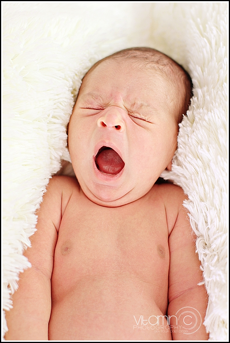 las vegas newborn photographer_001 (26)
